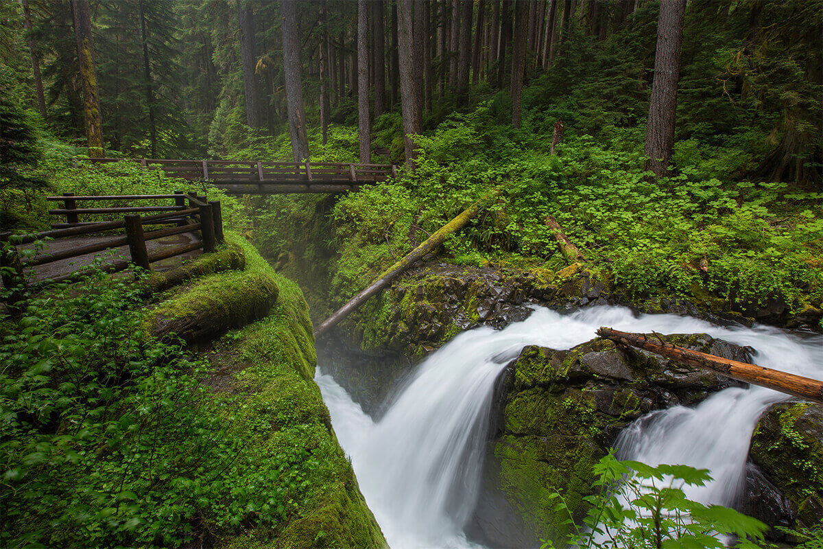 Beautiful forest with waterfall in Hoh Rainforest, Washington. A unique national Park