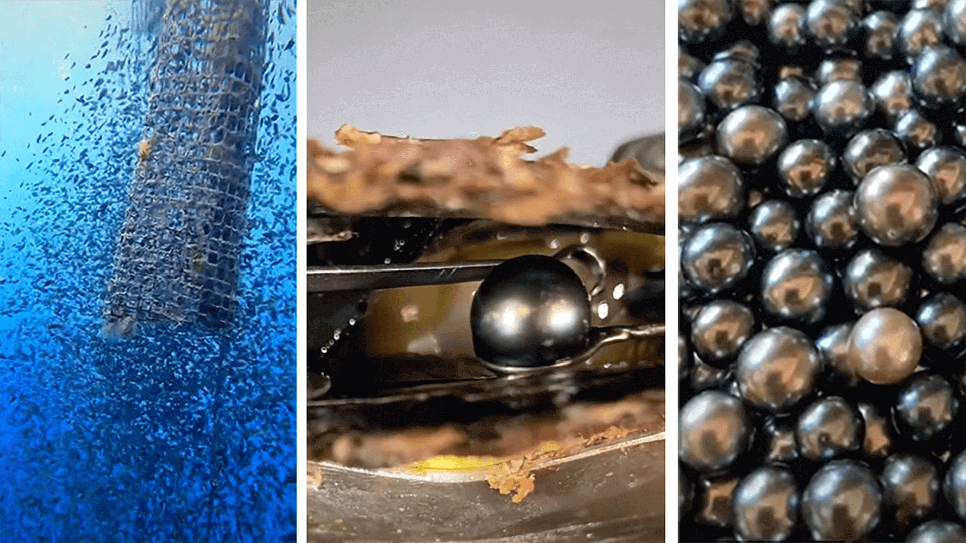Kamoka Pearl, sustainable pearl brand