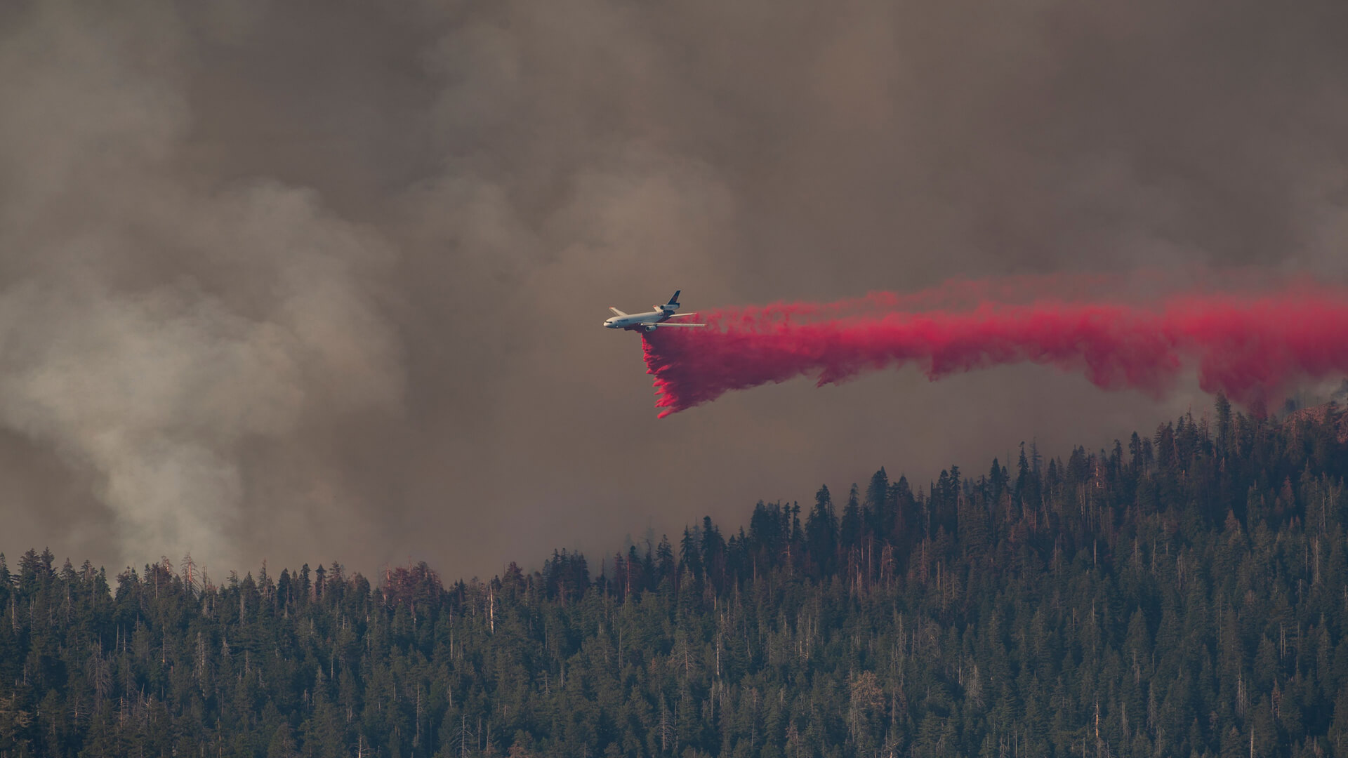 Firefighting aircraft during Yosemite wildfire
