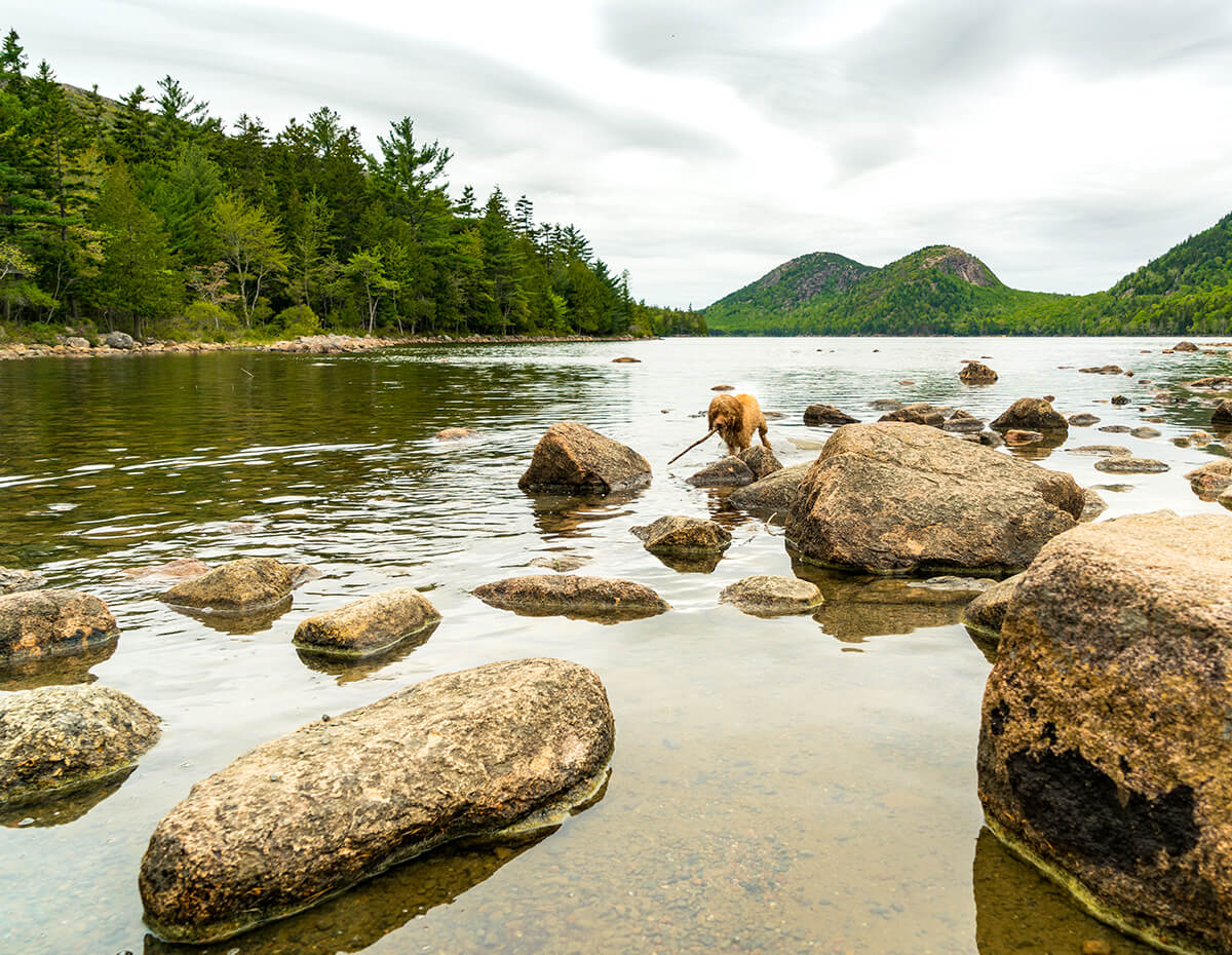 Acadia National Park, Maine