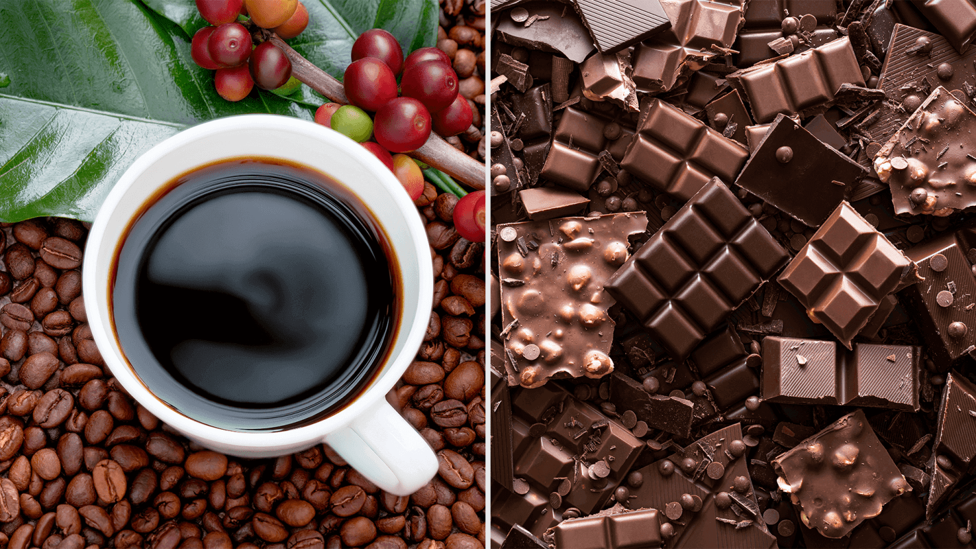 Image of chocolate and coffee on endangered food