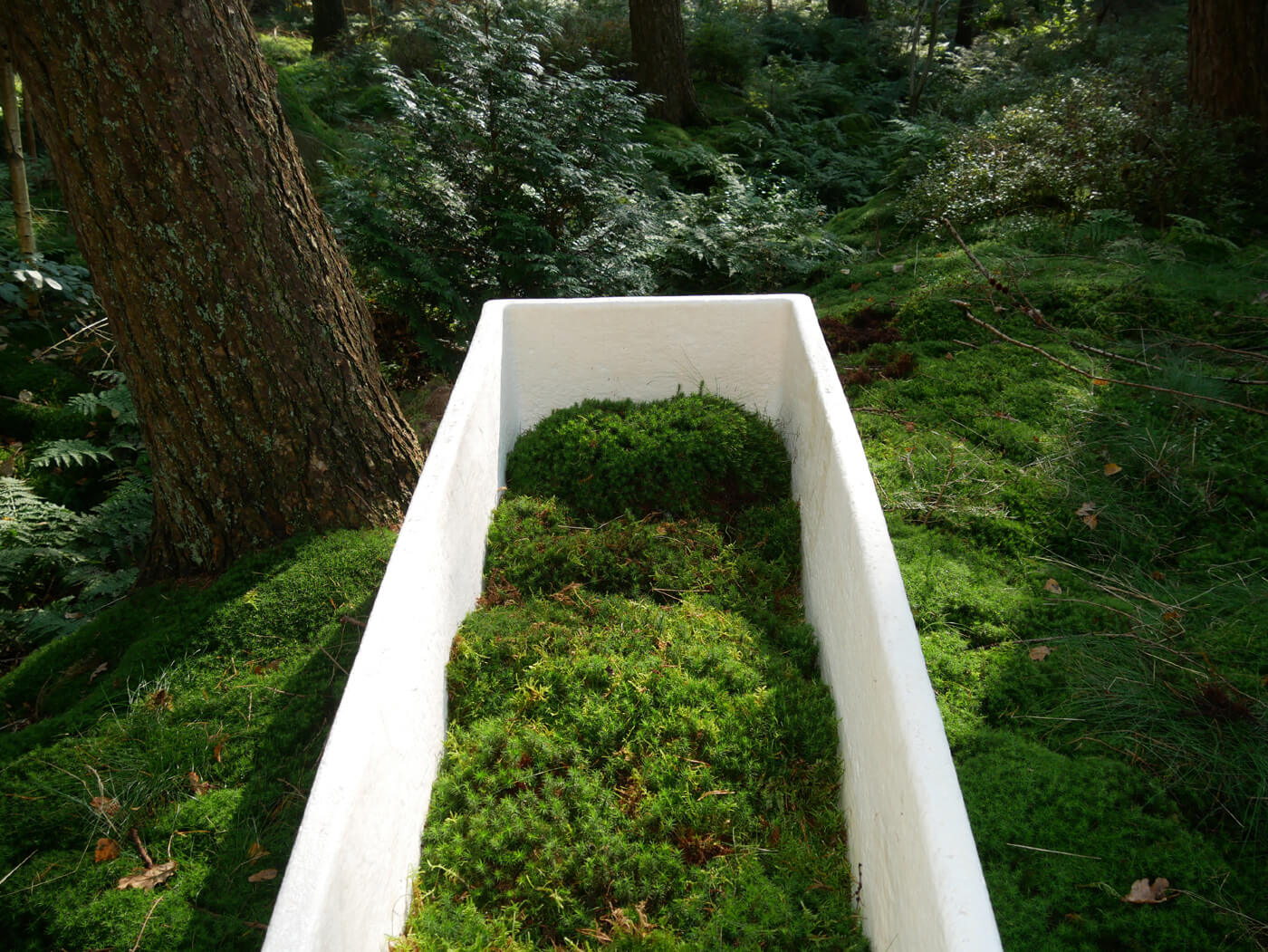 Mushroom coffin turns bodies into compost for less toxic burials