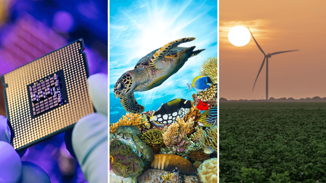 Here on Earth August 17, 2022 Good climate news to celebrate