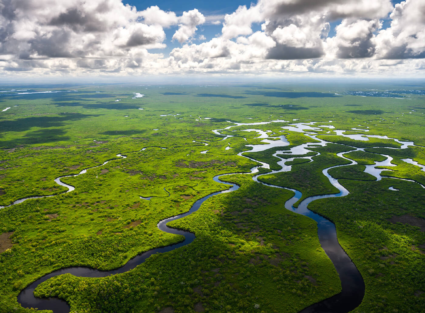 Florida is now protecting 19,000 acres to help its wildlife