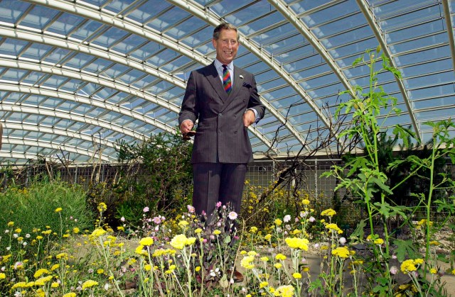 Prince Charles In Greenhouse