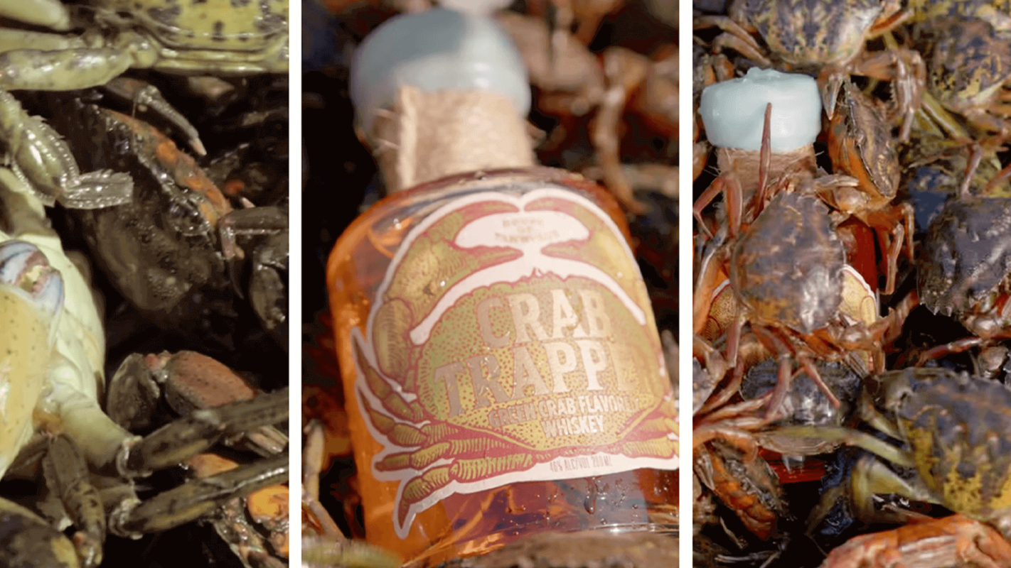 The crab-flavored whiskey protecting shorelines