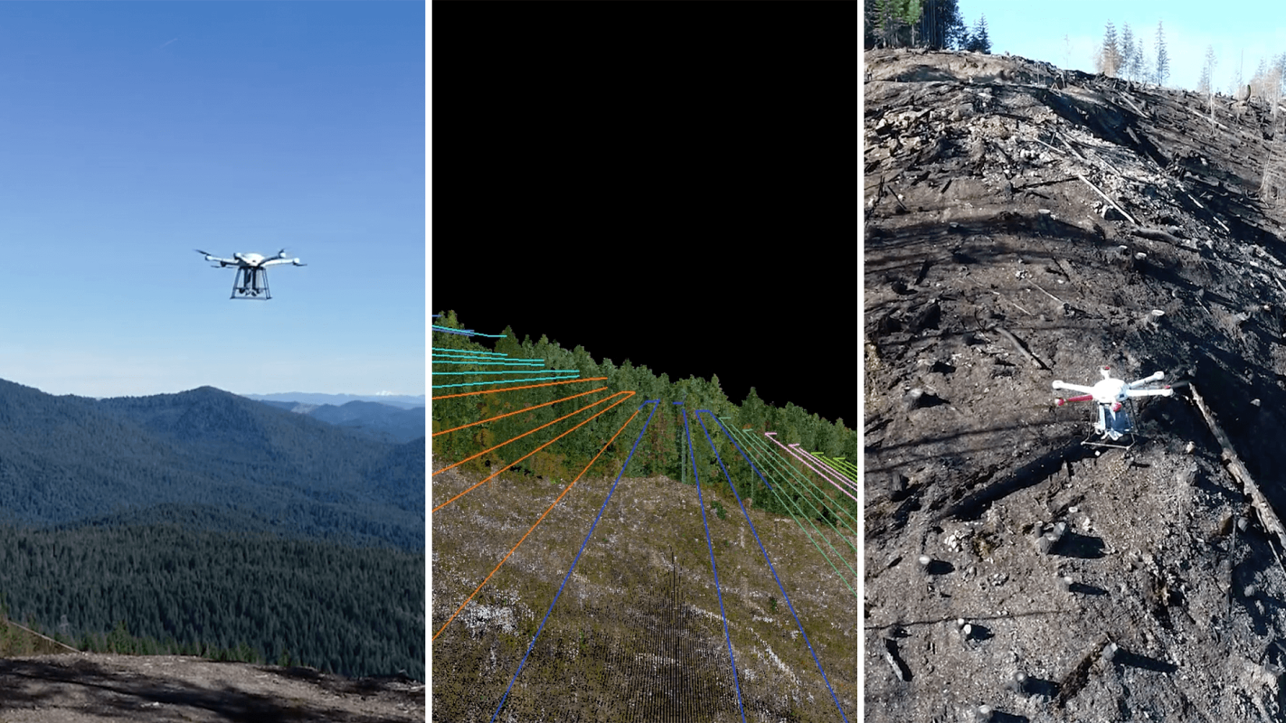 Company uses swarms of massive drones to replant forests