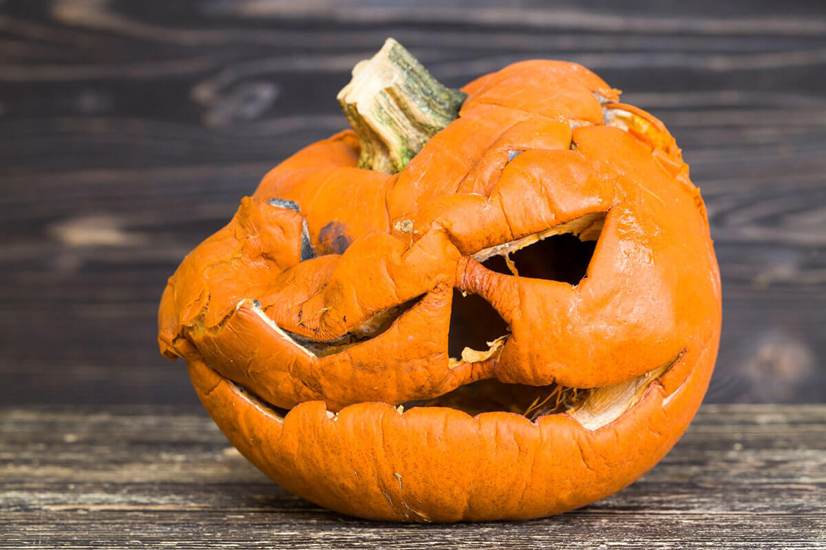 Don’t throw out your pumpkins!
