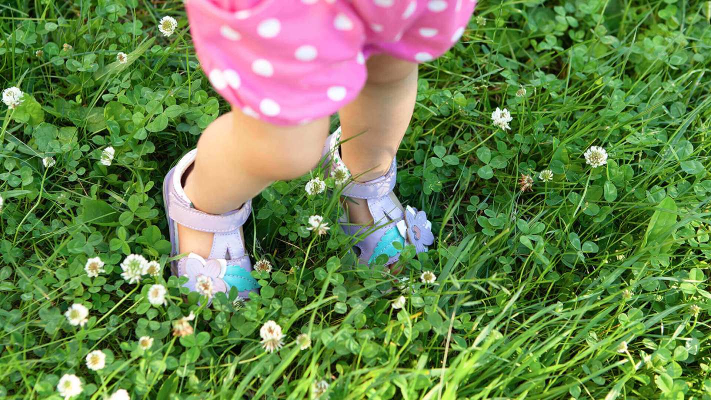 Little girl stands on weed-resistant Clover lawn