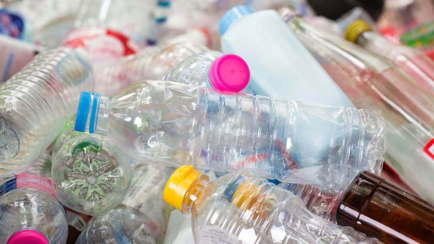 Plastic bottle for recycling ; Greenpeace USA's report