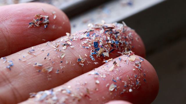 Microplastics on a person's hand.