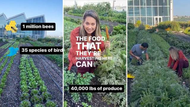 Javits Center, farm on its rooftop