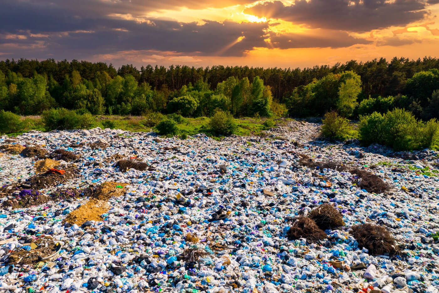 Old landfills are being turned into solar farms