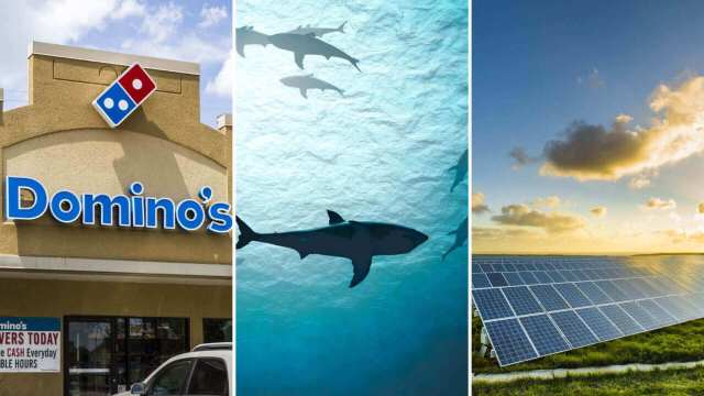Pizza-delivering EVs, protections for sharks, and a $219M solar farm