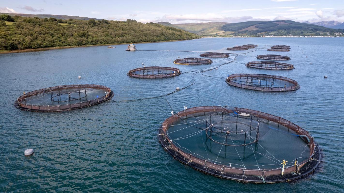 Blue tech Aquaculture