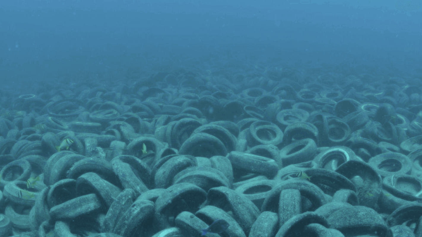 There are still over 500,000 tires left in the reef.