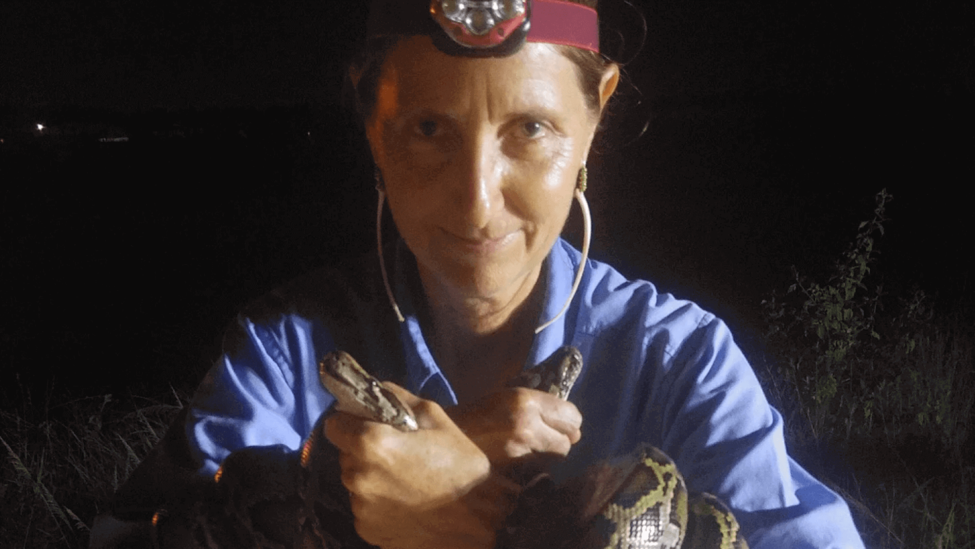 Donna Kalil hunting the invasive pythons