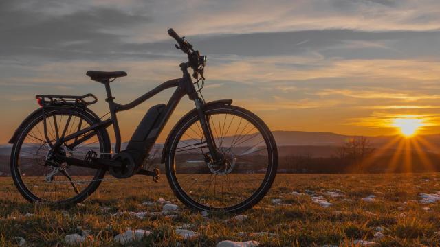 ultra-quiet e-bikes used in Kruger National Park