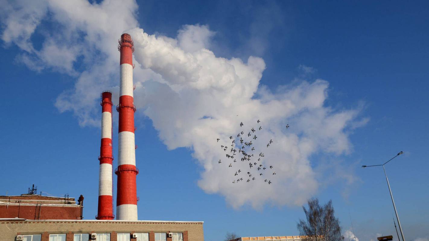 chimney carbon reporting; Plan A track companies' climate pledges