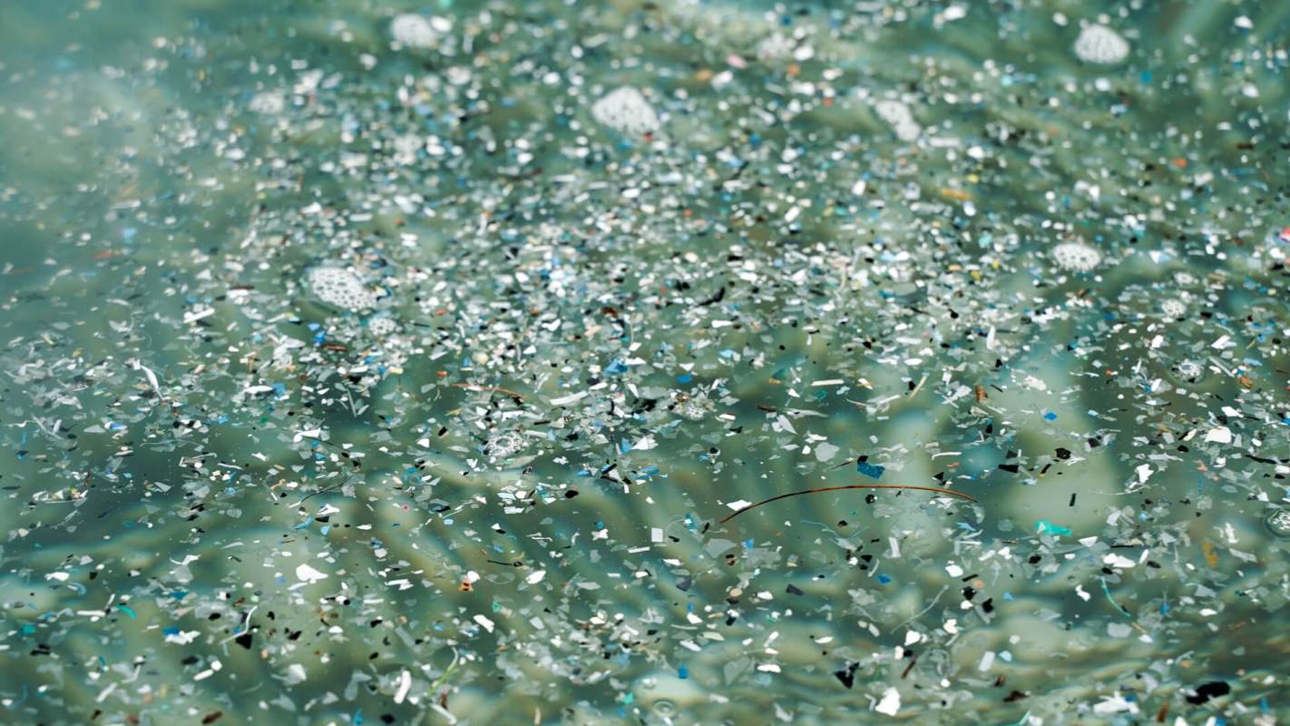 Microplastics, Clean our oceans with egg whites