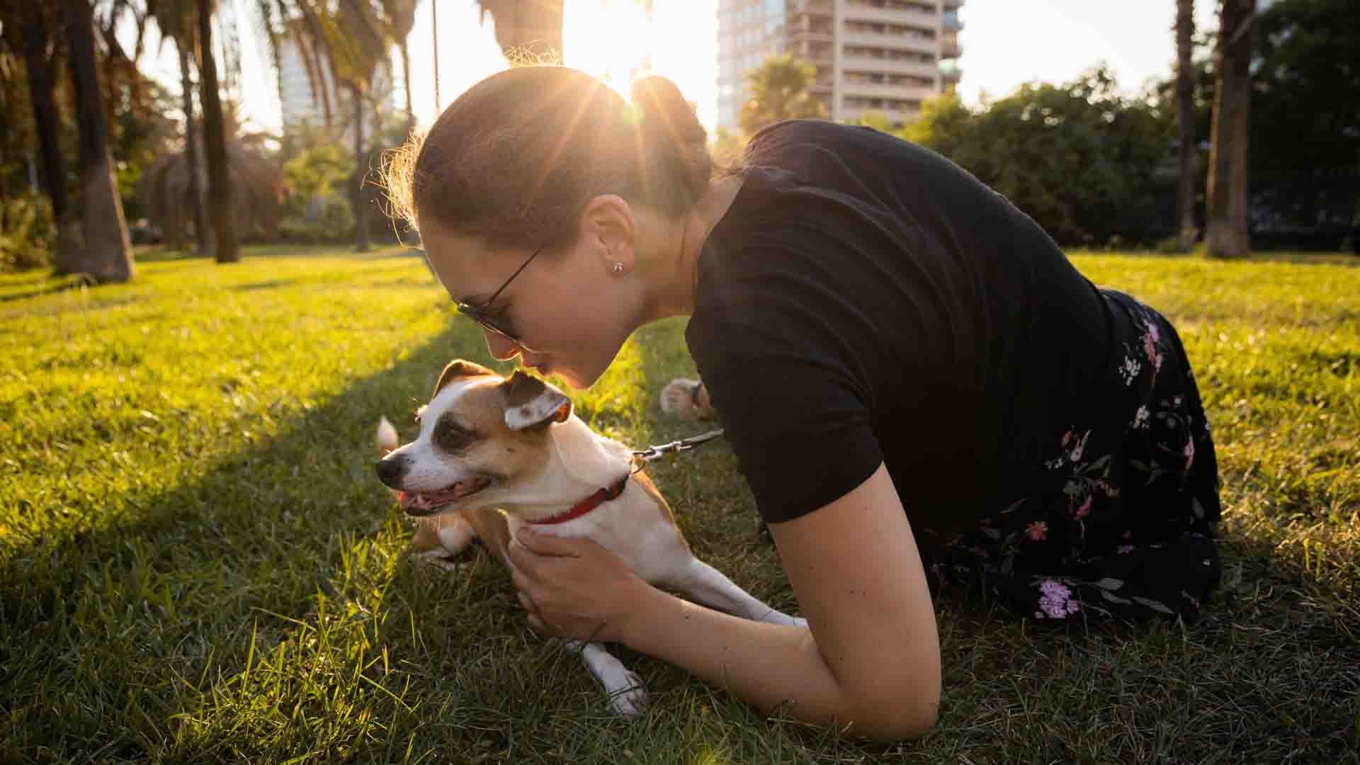 Pet Products
