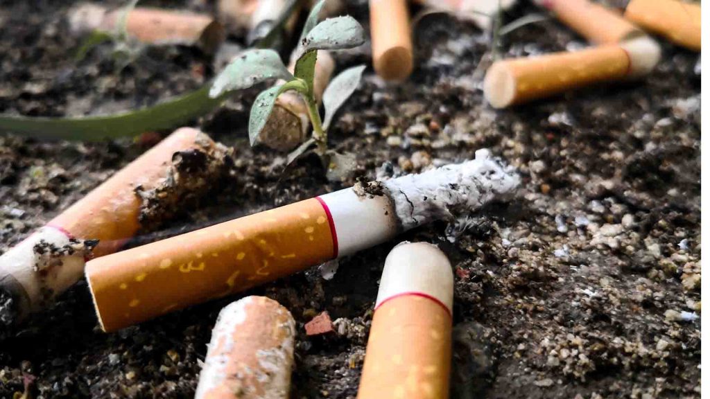 free cigarettes coupons by mail Mayor Turns Up Heat on Cigarettes, Tobacco Marketing - Lakeview - Chicago