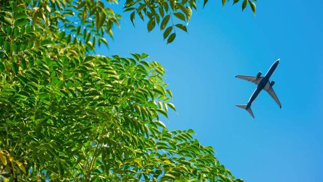 Arizona State University fuel U.S. flights with plants