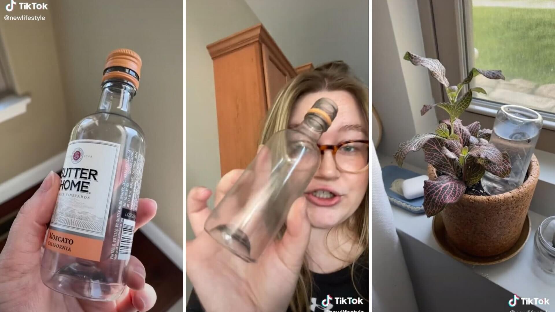 Mini wine bottles