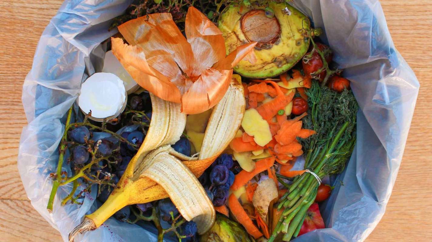 Redditor reveals the easiest way to recycle compostable packaging