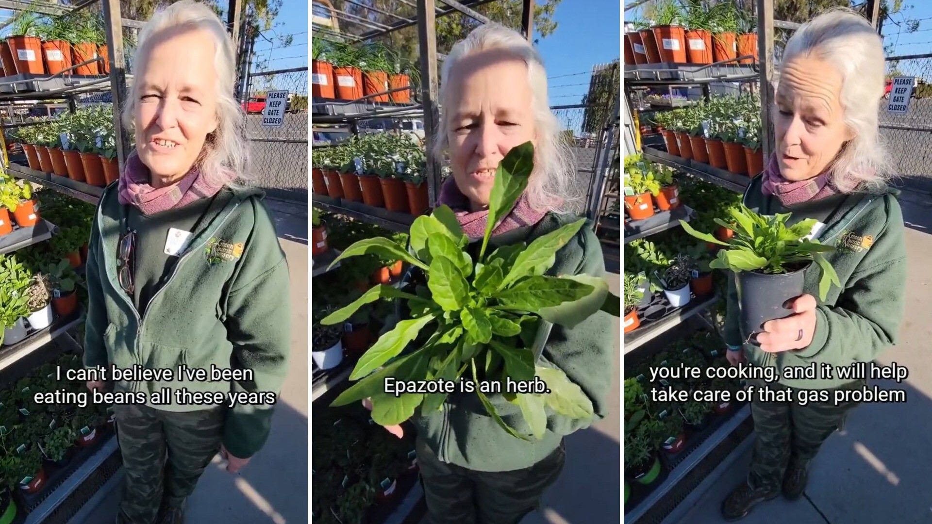 Gardener shares the food you need to be eating with your beans: ‘It will help take care of that gas problem’