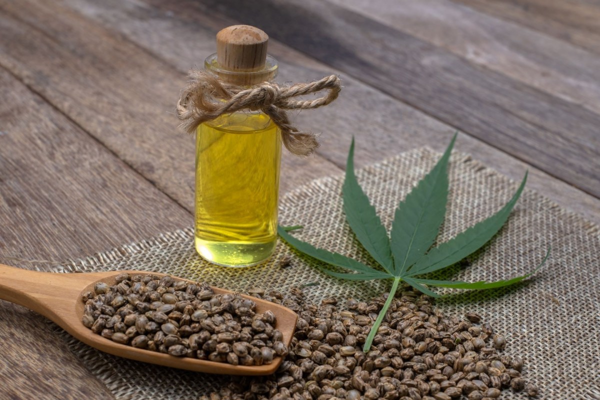 Hemp seed oil, also simply called hemp oil, is a greenish oil pressed from hemp seed husks.