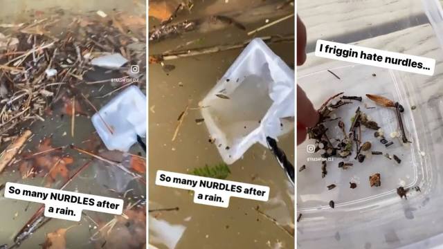 Nurdles tiny pellets