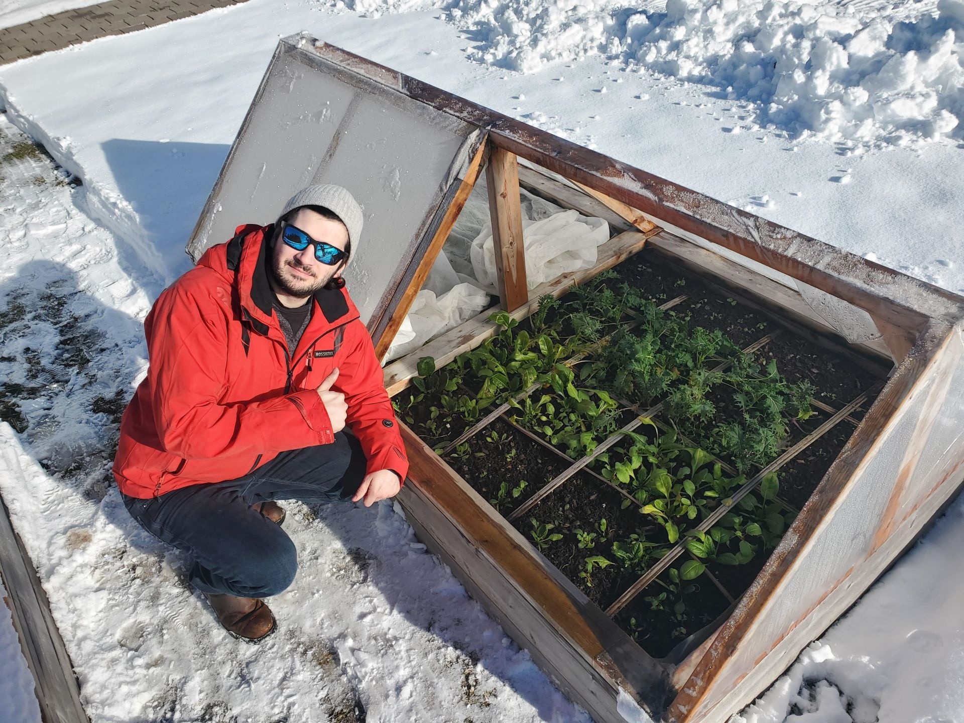 Winter gardening
