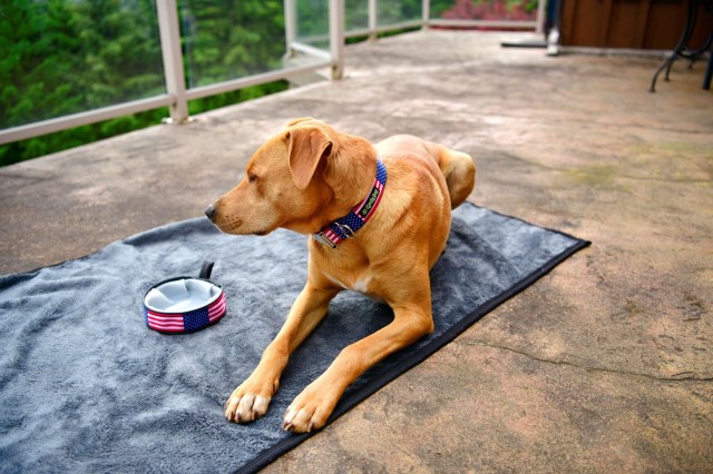 Lanette Fidrych reuses bike parts to help pets