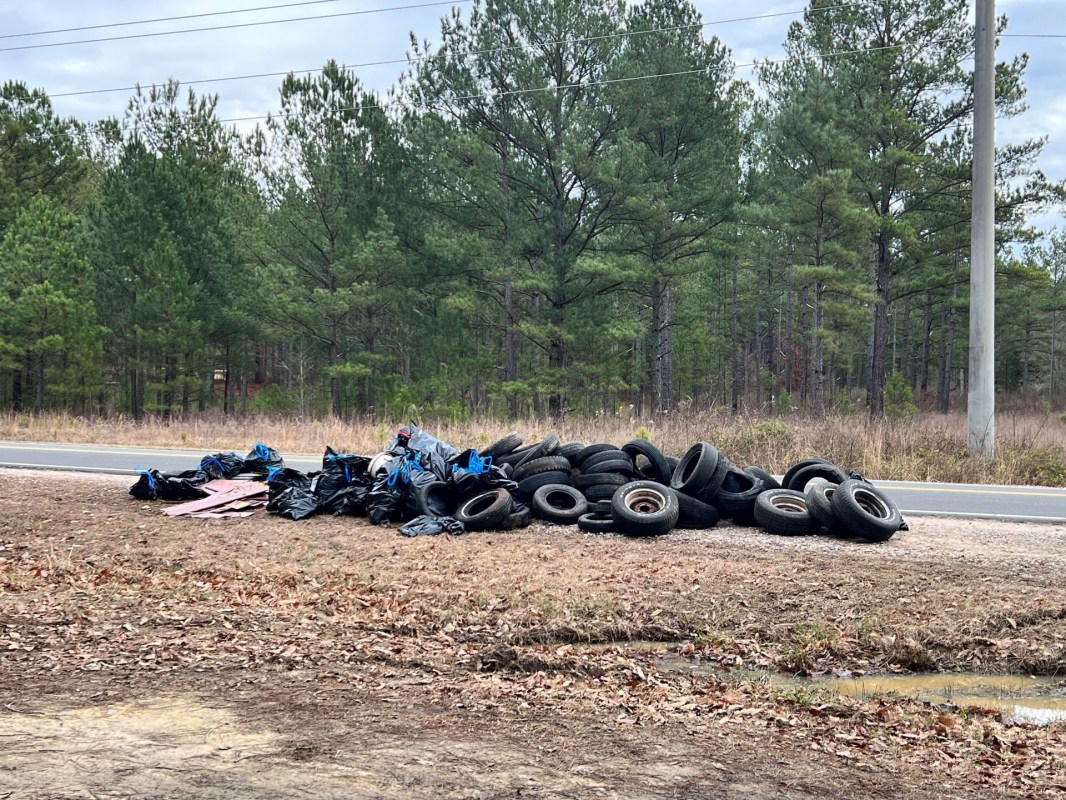 70 tires polluting the Falls Lake area