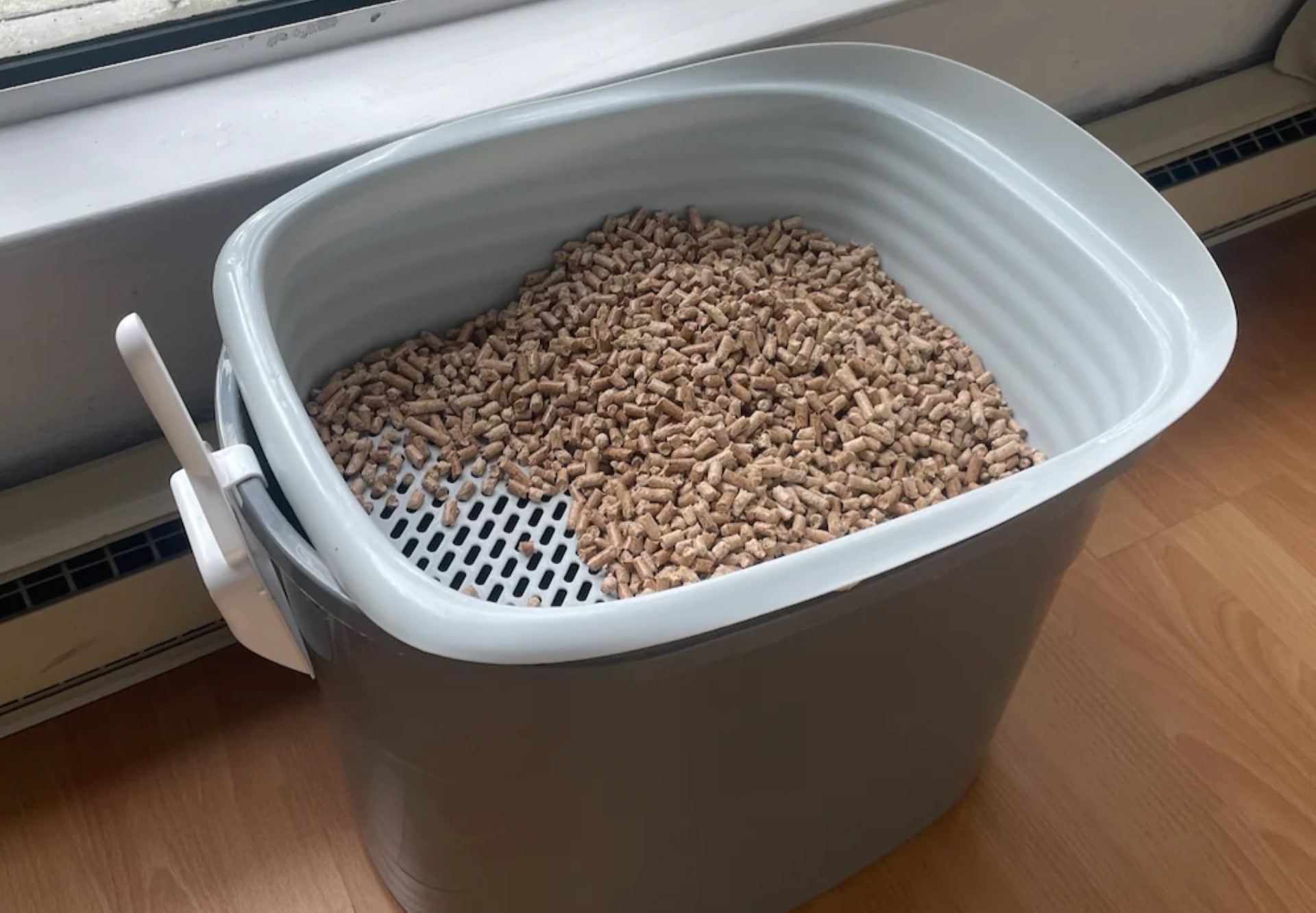 Redditor shares 'dirt cheap' hack to keep your cat's litter box clean