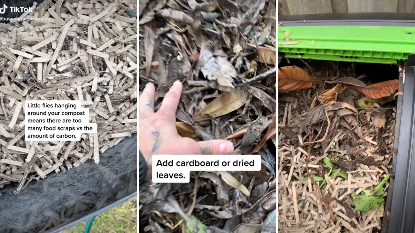 Composting hack to eliminate flies