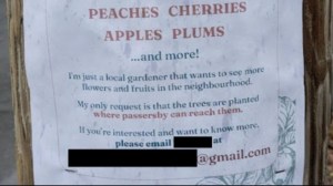 Free fruit trees offer posted on telephone pole