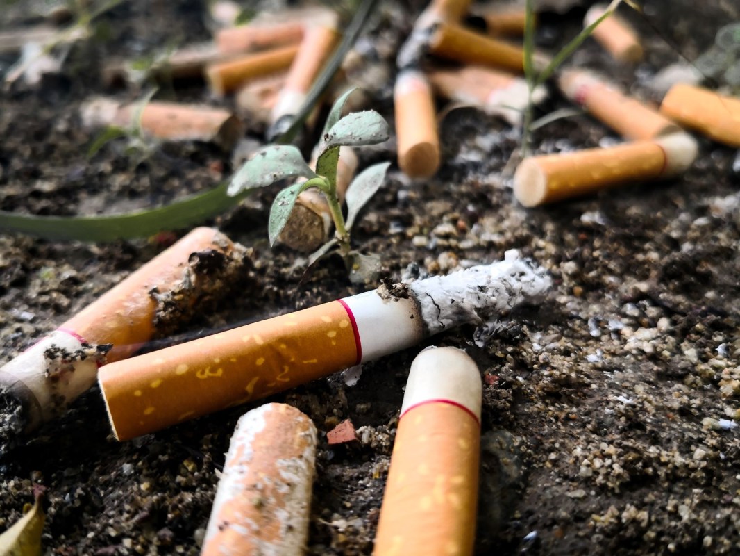Fungi Solutions, Recycle cigarette butts