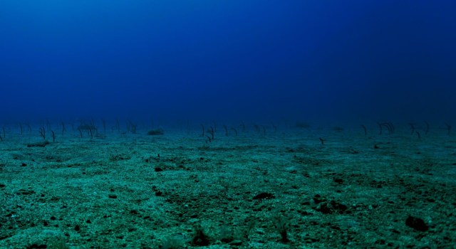 This is why studying heat waves is so important. 