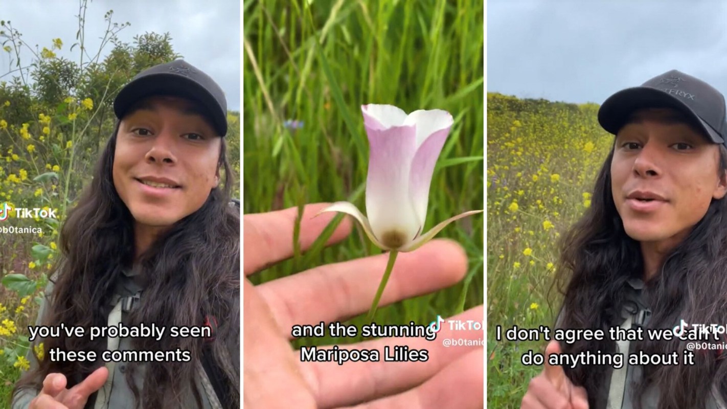 Botany enthusiast revealing hidden dangers of invasive species