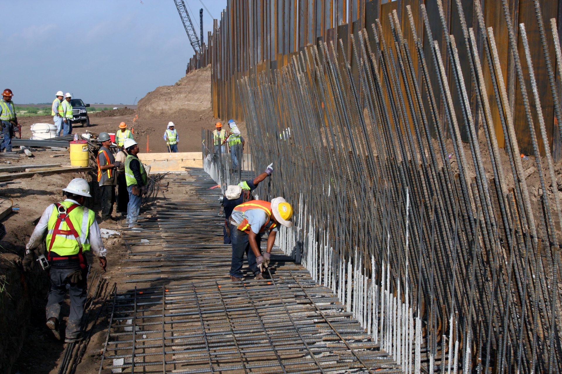 Prostrate milkweed, Endangered species, Building border wall