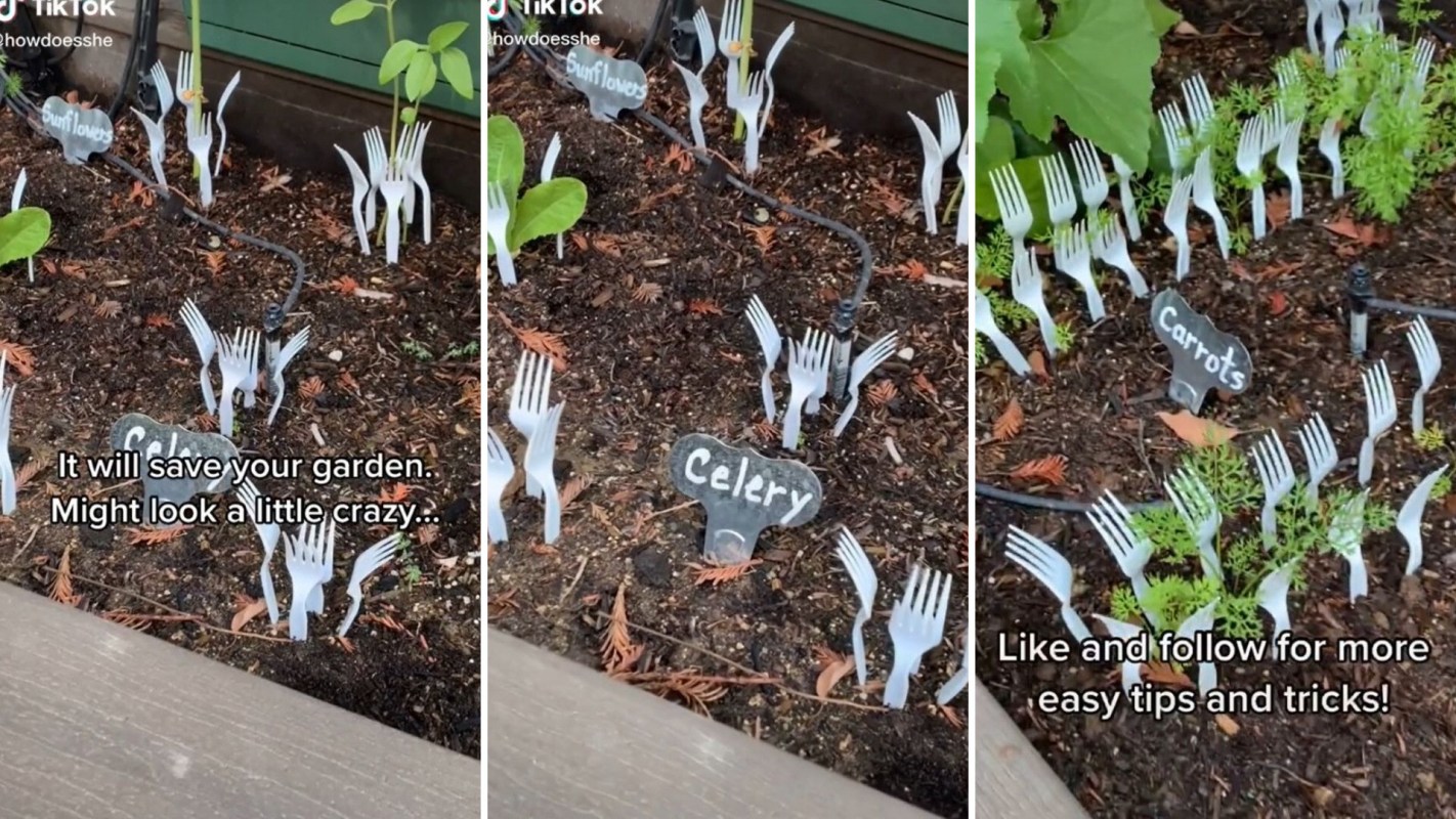 Gardening hack with Forks