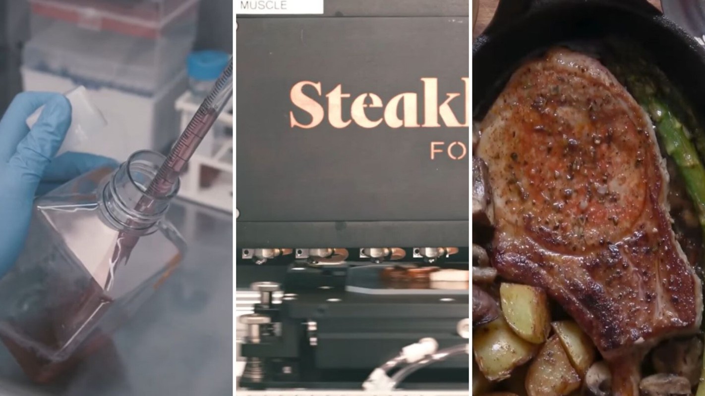 Bio-printed meat Steakholder Foods