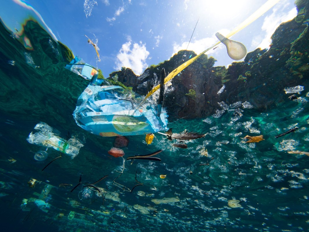 Legacy Plastic, cleaning trash from oceans