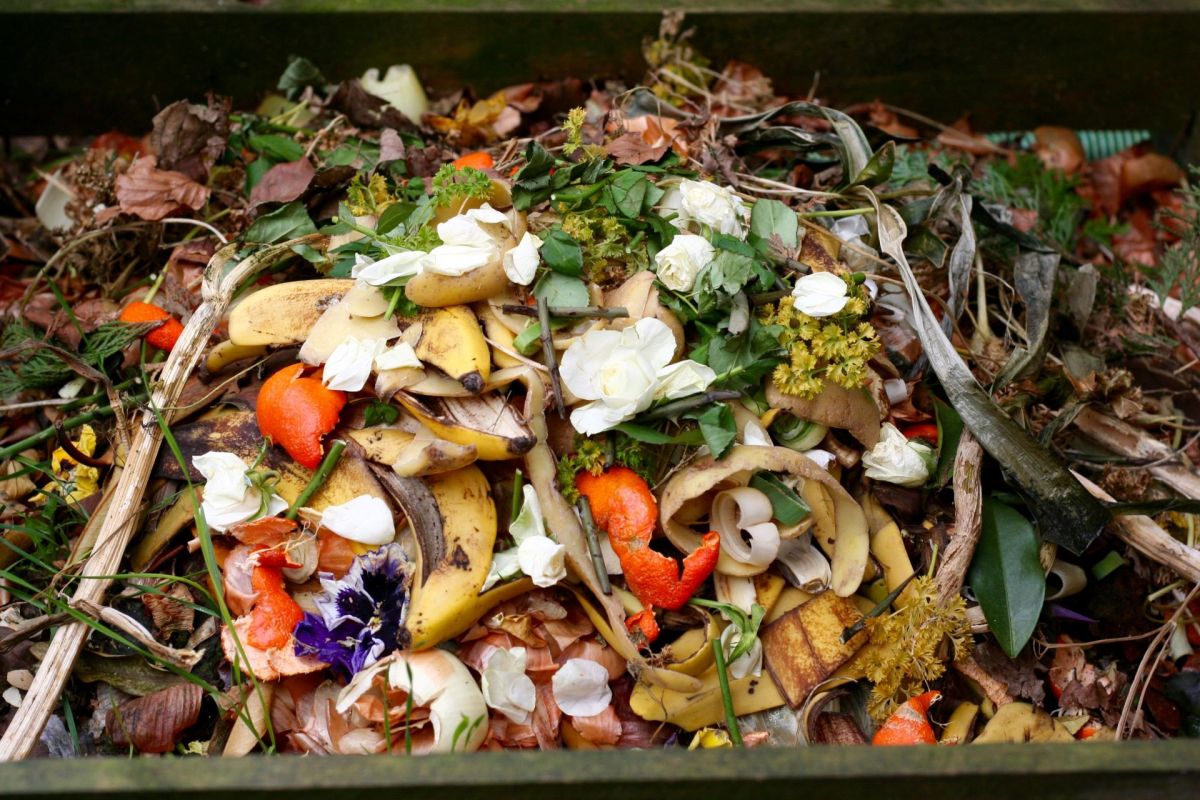 Divert uses food waste to create biogas energy