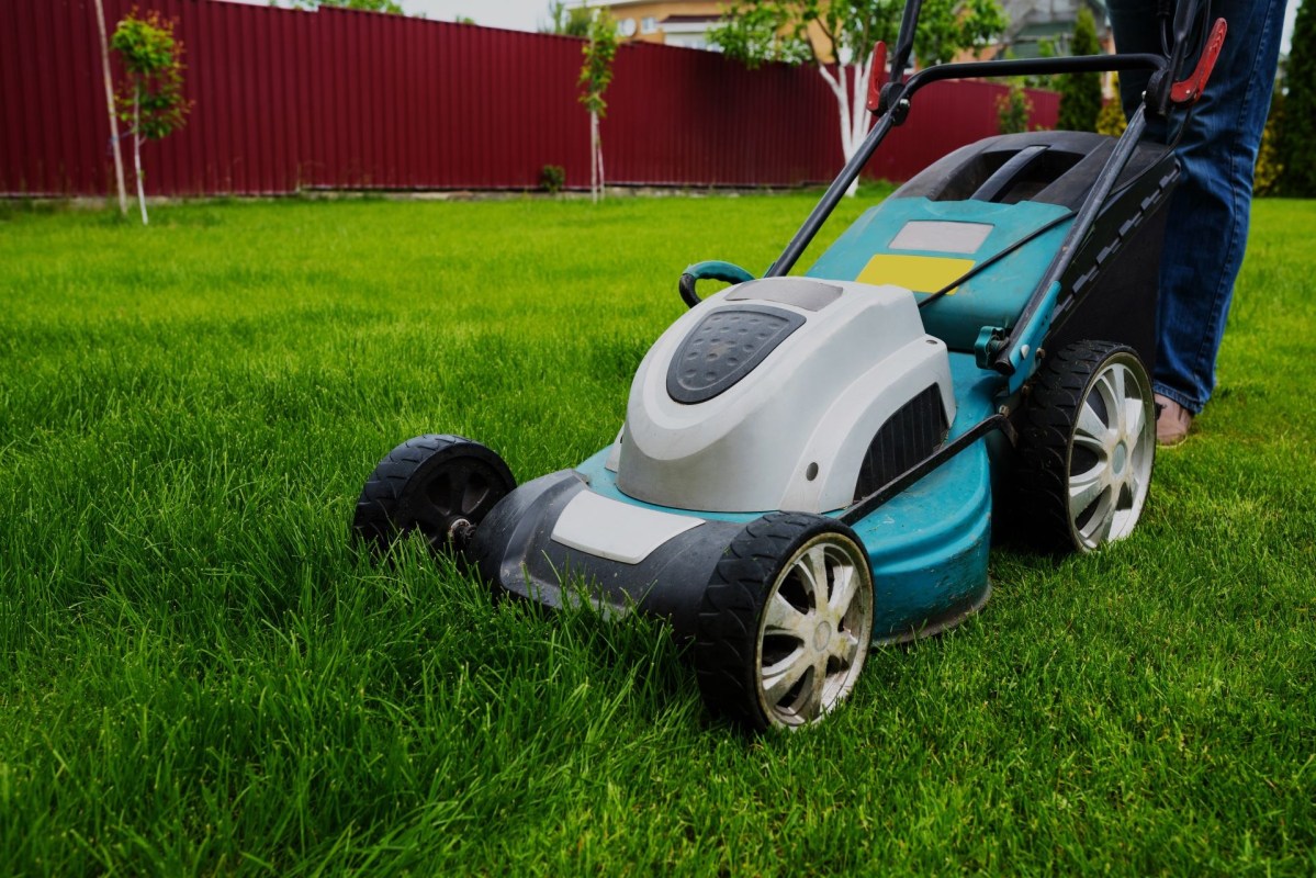 Stihl electric lawn mower