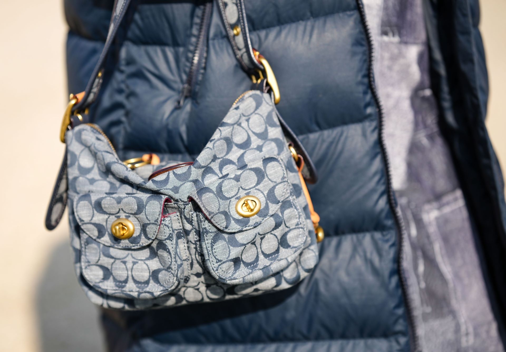 Coach 2023 seasonal bag, Luxury, Bags & Wallets on Carousell
