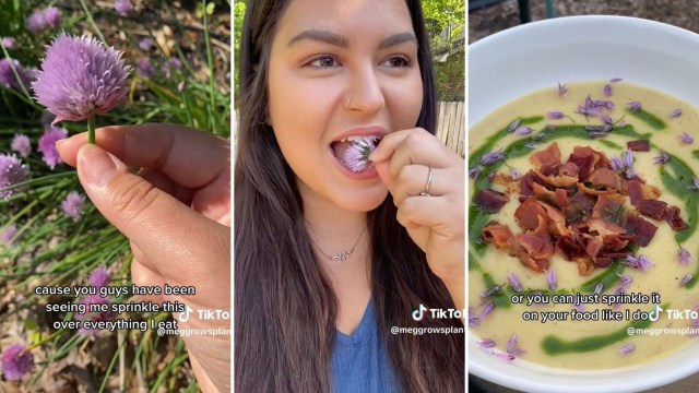 Benefits of growing chives