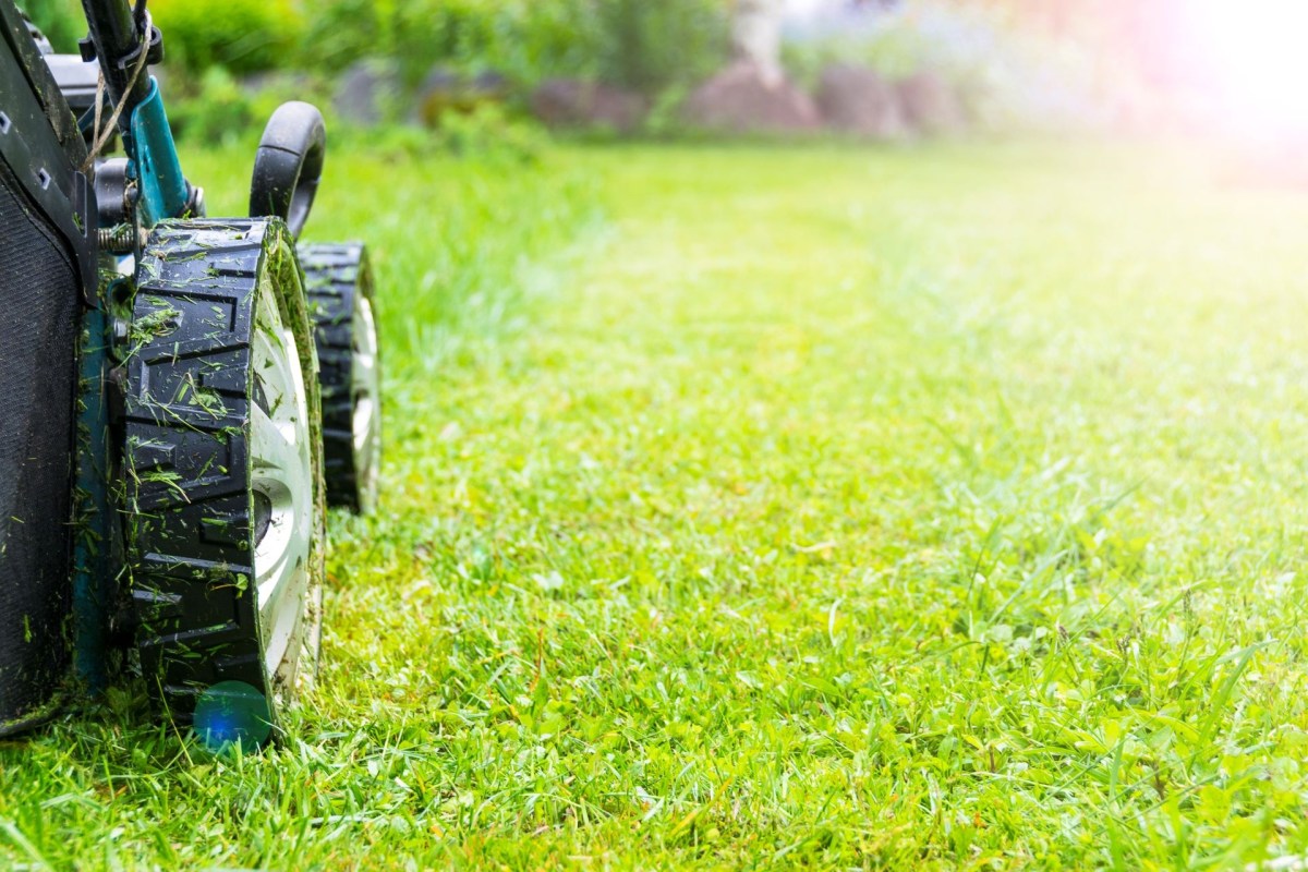 Black+Decker electric mower